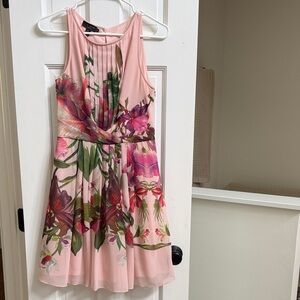 Ted Baker Soft Pink Dress with Sheer Accents